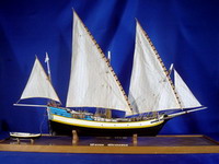 Pinco genovese