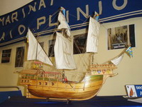 Caracca atlantica Sao Miguel