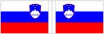 Bandiera della Slovenia