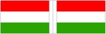 Bandiera dell'Ungheria