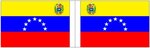 Bandiera del Venezuela