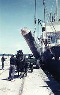 Il Golfo di Trieste scarica tronchi a
                  Valencia